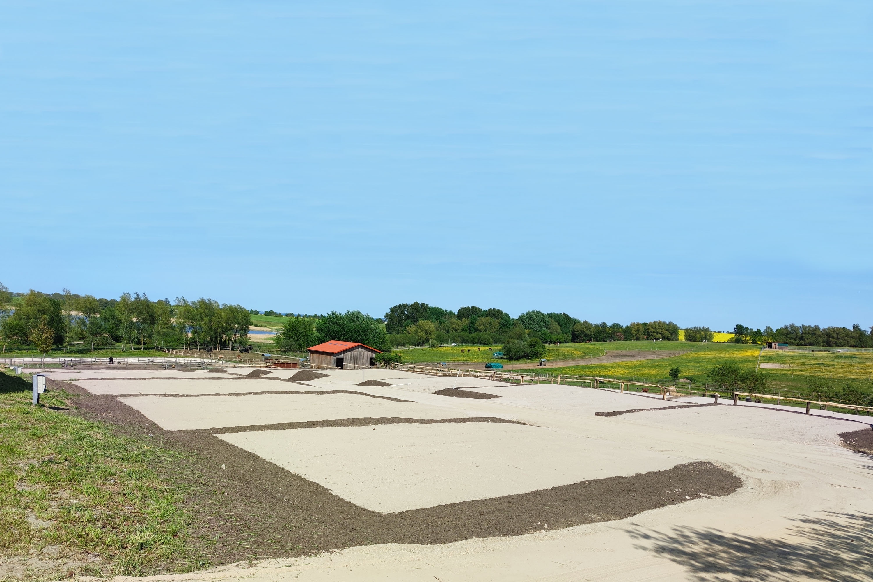 Bernsteinreiter Barth