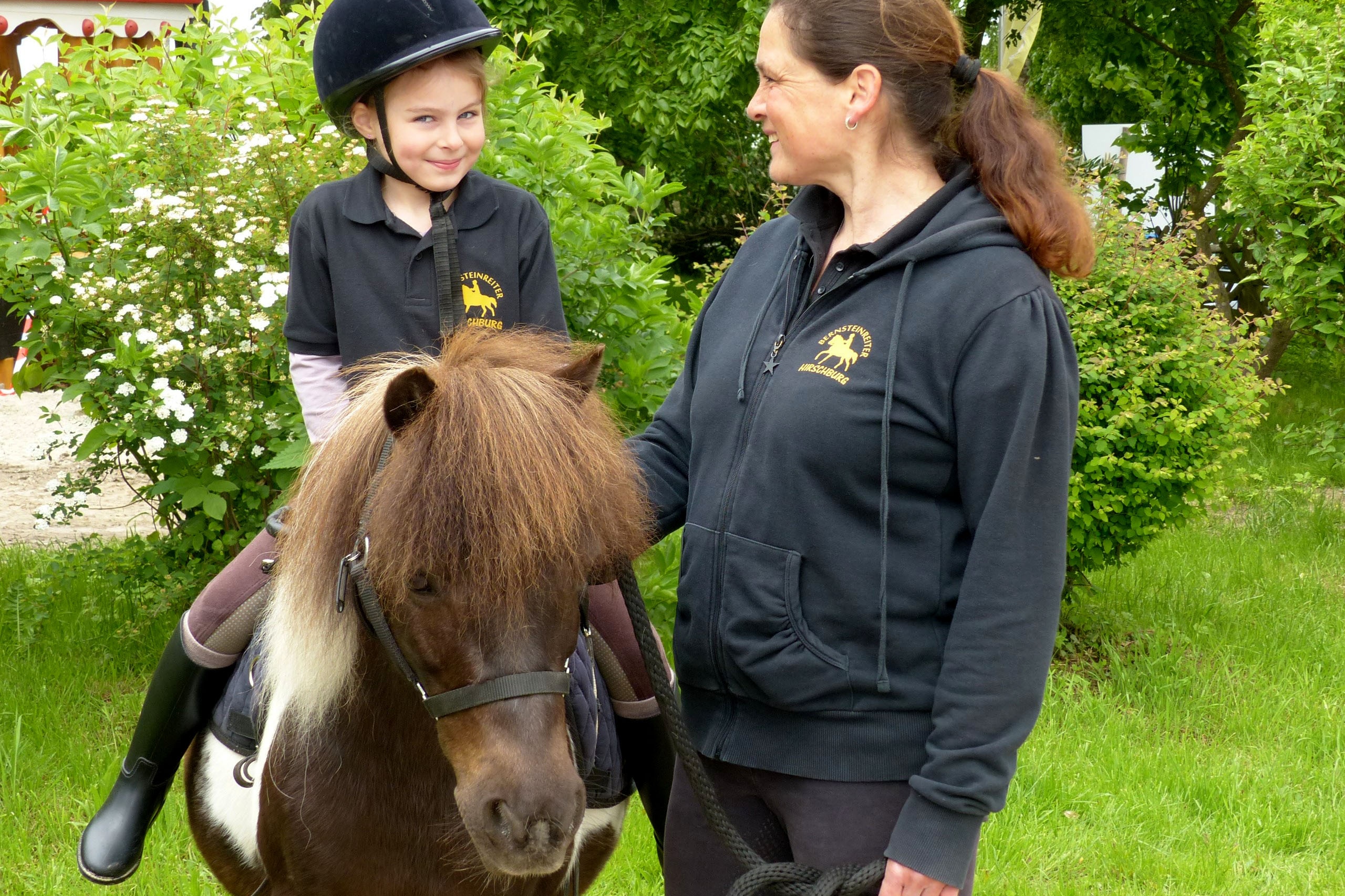 Bernsteinreiter Barth