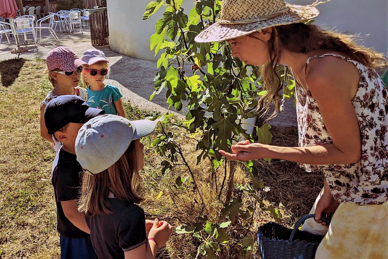 Camping La Clairière