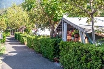Camping Costabella – billede 5