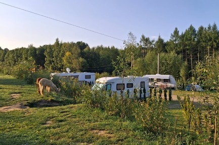 Camping Zacisze