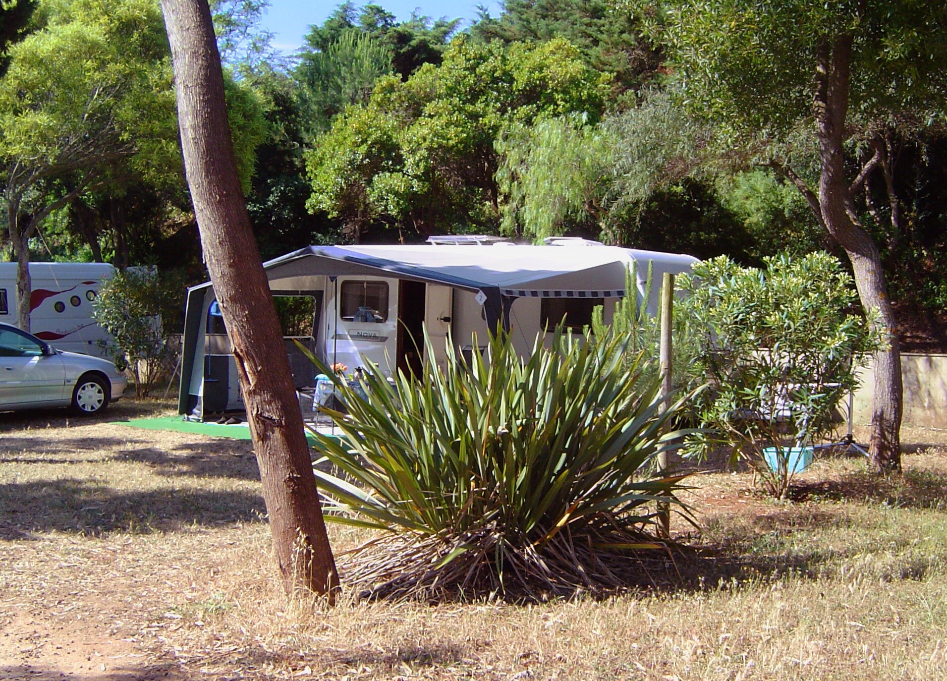 Salema Eco Camp - Regenerative Camping & Glamping