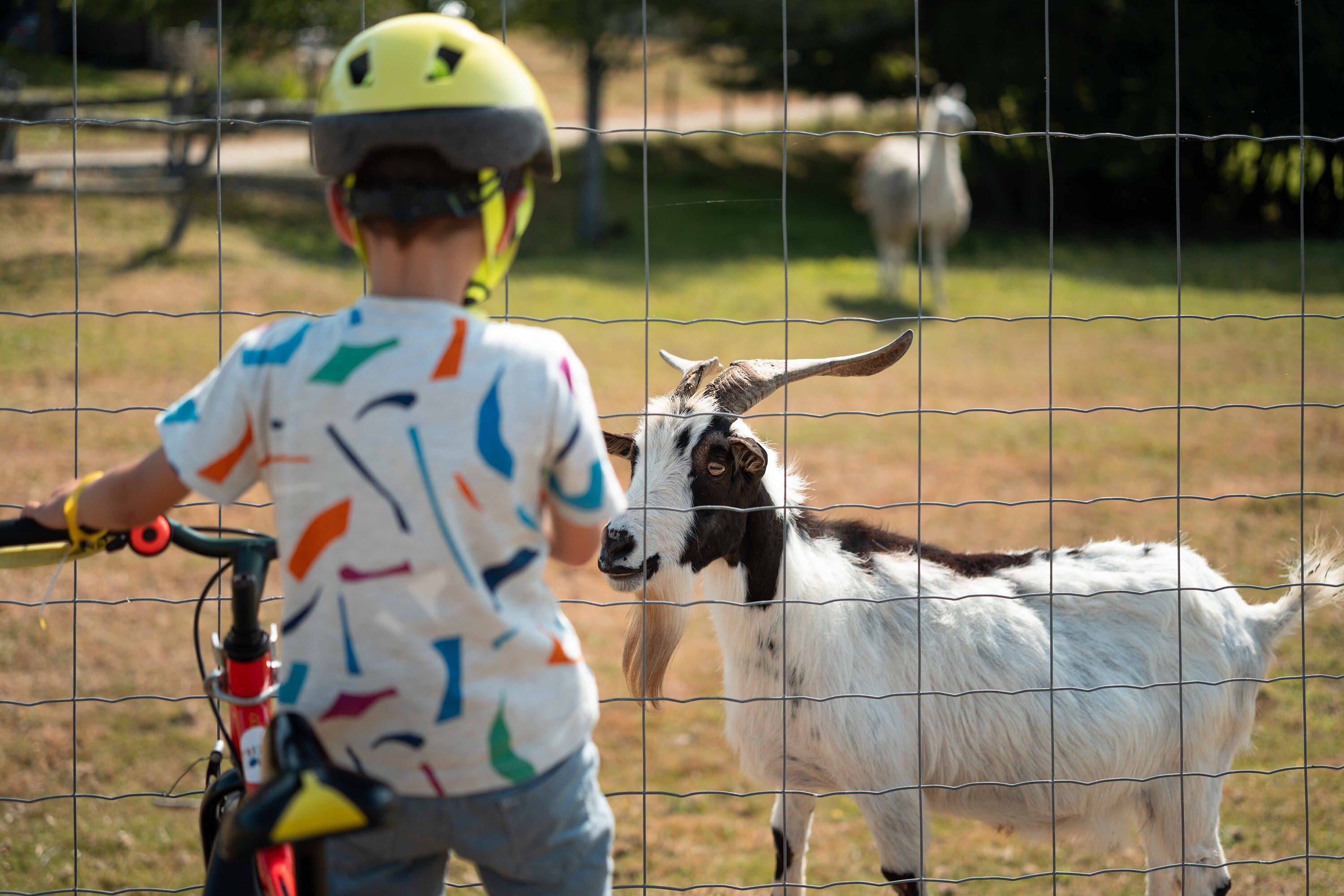Camping Village de la Guyonnière