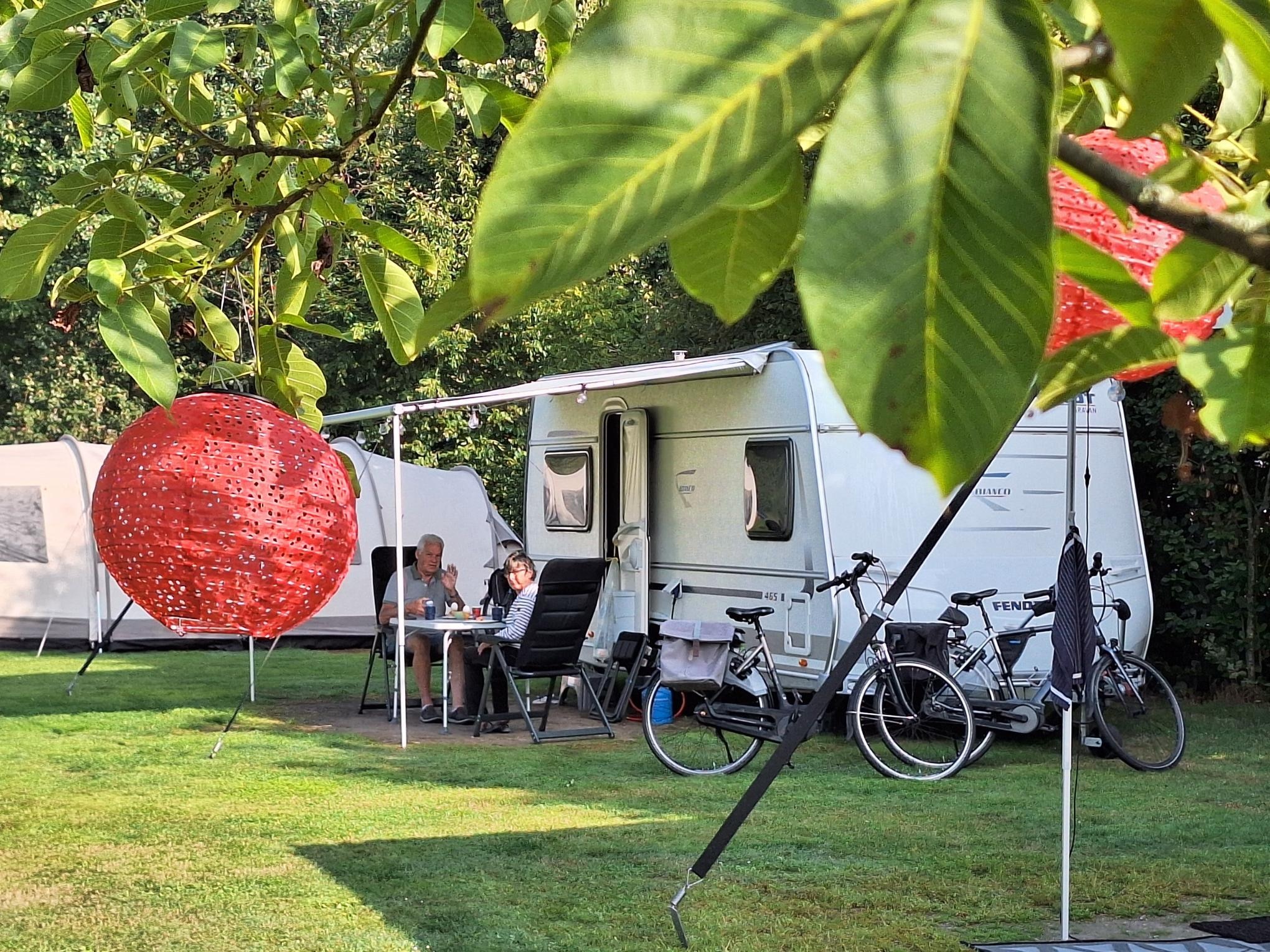 Camping Boszicht