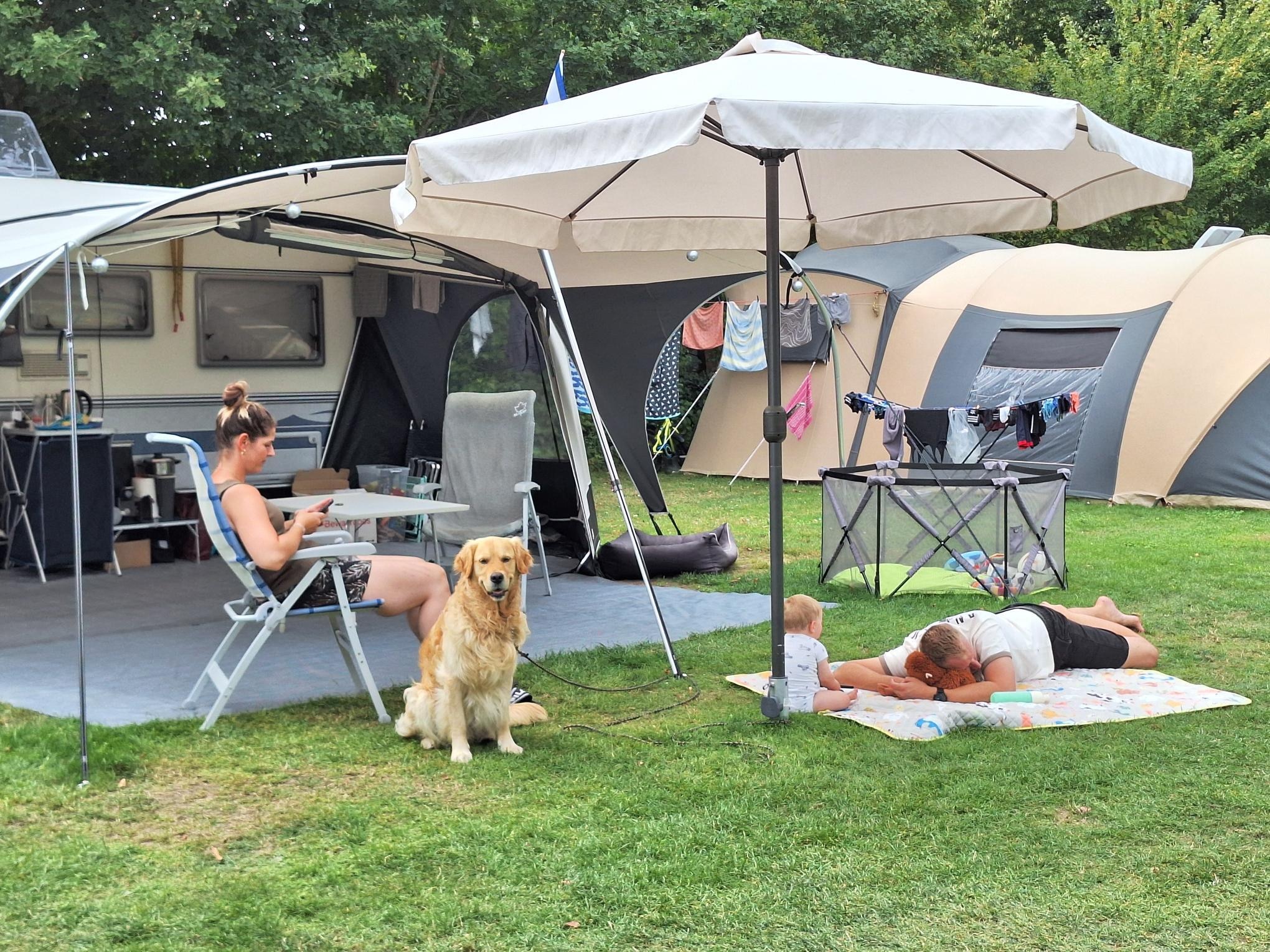 Camping Boszicht