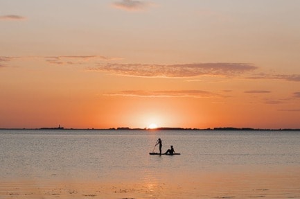 Strukkamphuk-Fehmarn