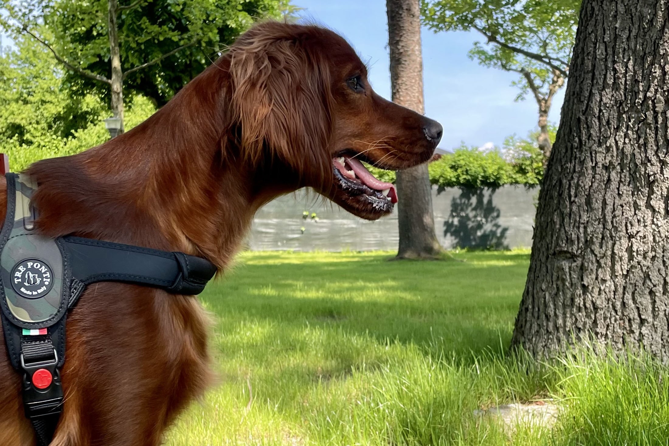 Camping Village Lago Maggiore