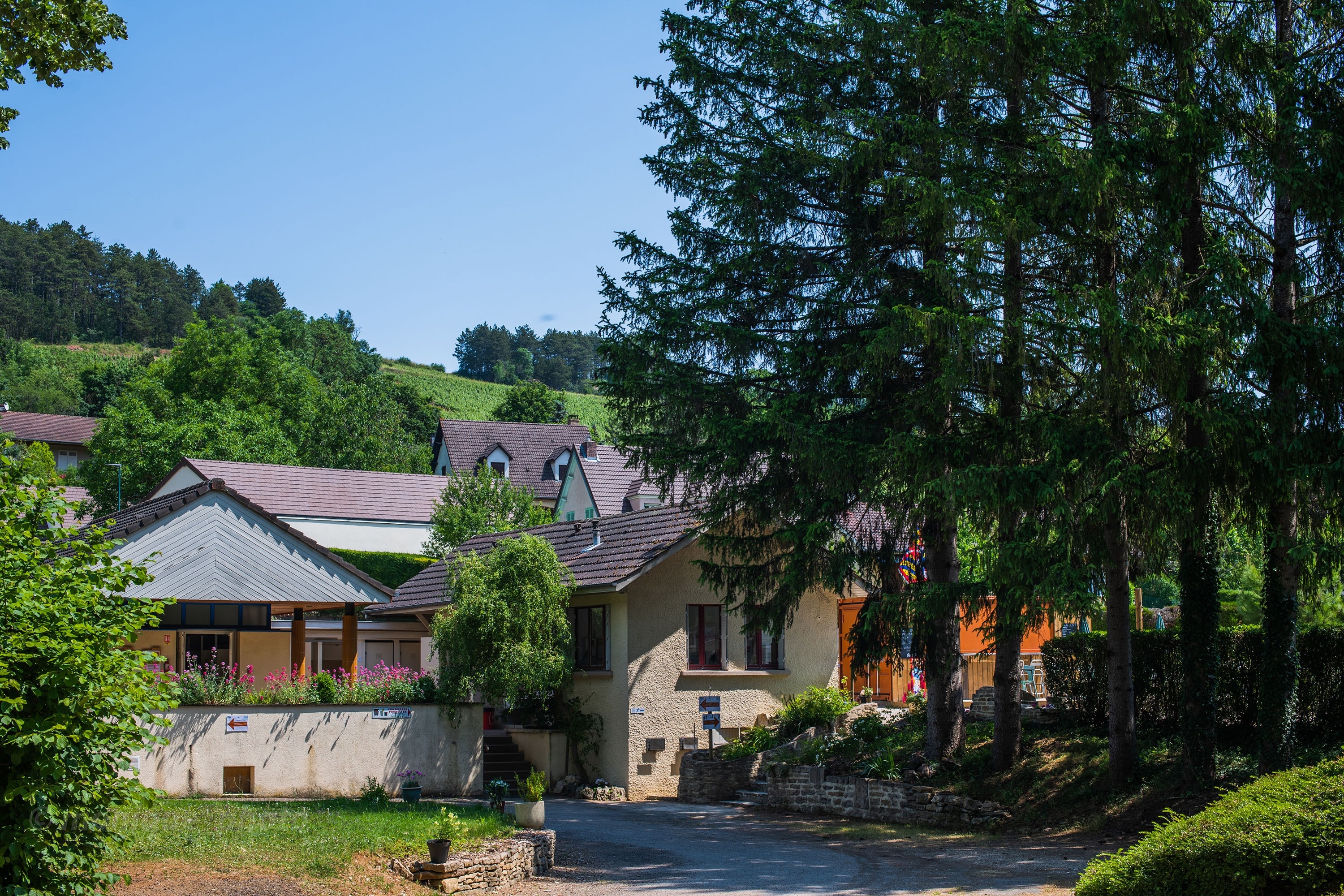 Camping Les Premières Vignes Onlycamp