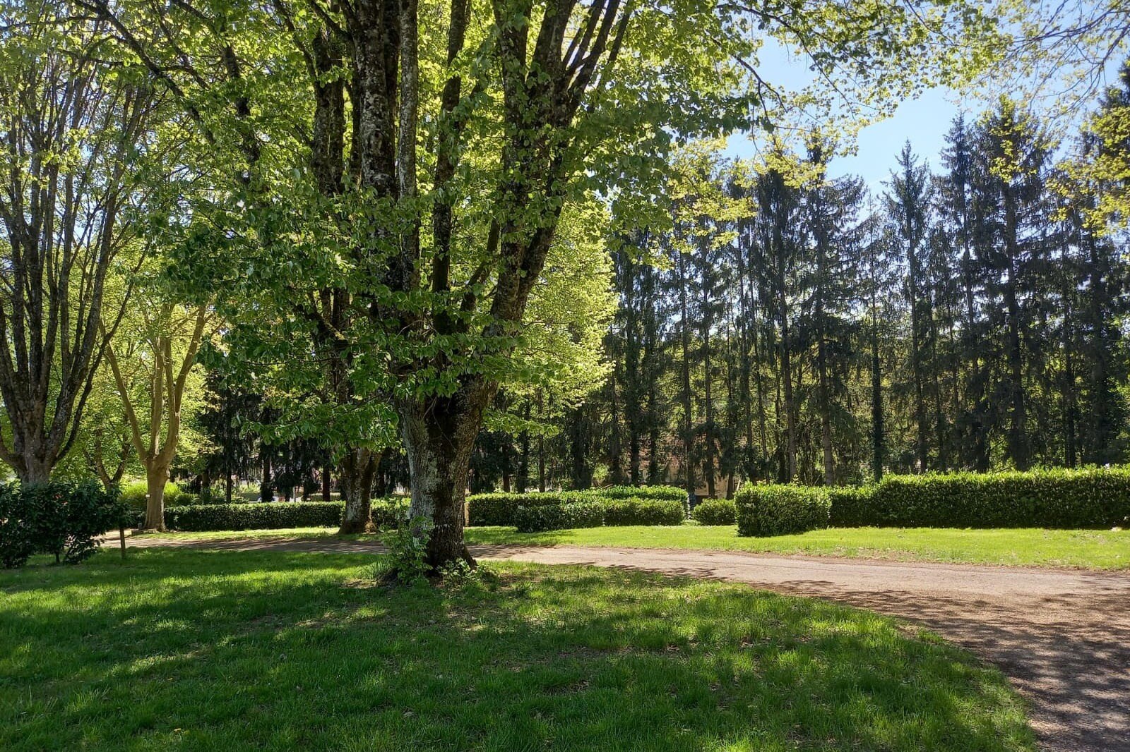 Camping Les Premières Vignes Onlycamp