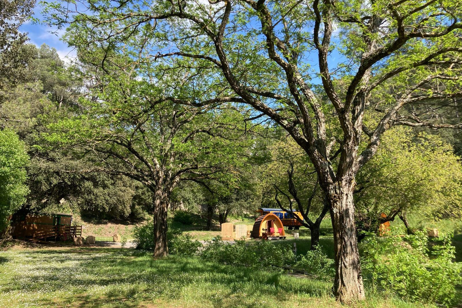 Camping La Pinède des Mées