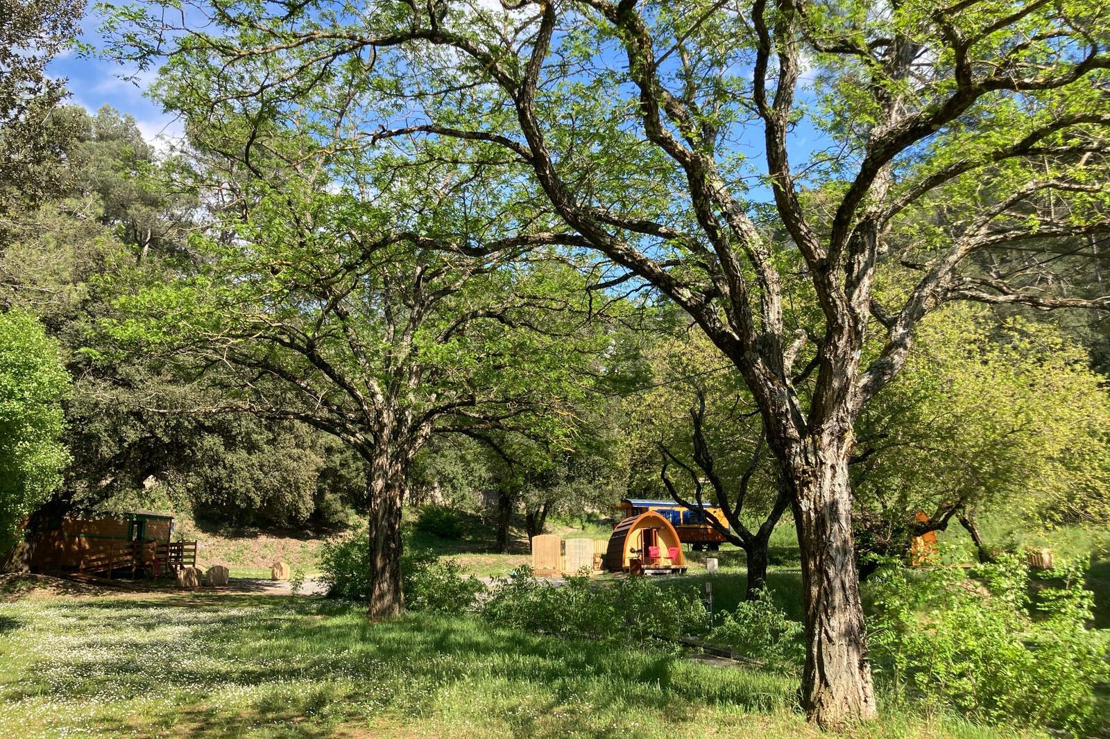 Camping La Pinède des Mées