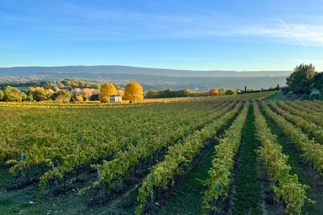 Pausado Camping Les Chênes Blancs
