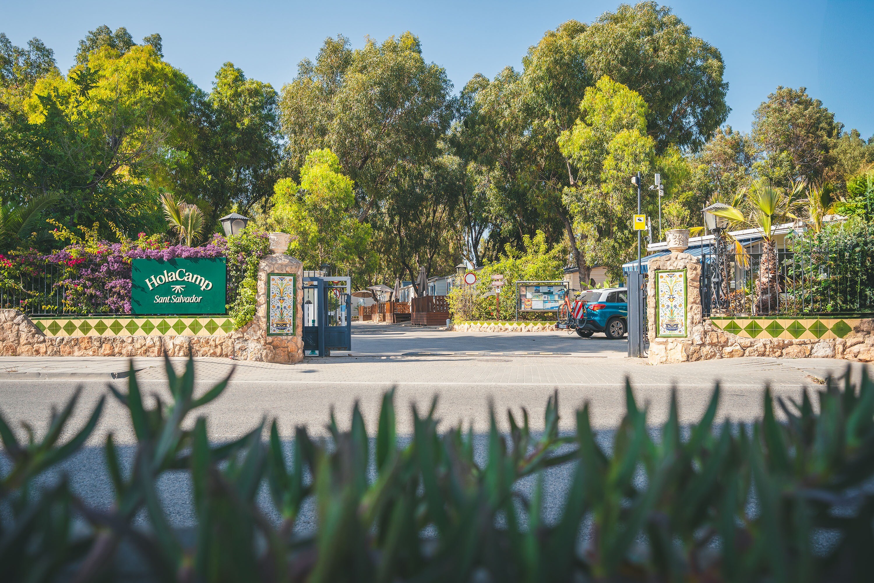 HolaCamp Sant Salvador