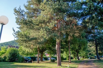 Camping du Haut-Koenigsbourg Onlycamp