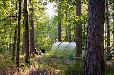 Camping Les Pins Onlycamp