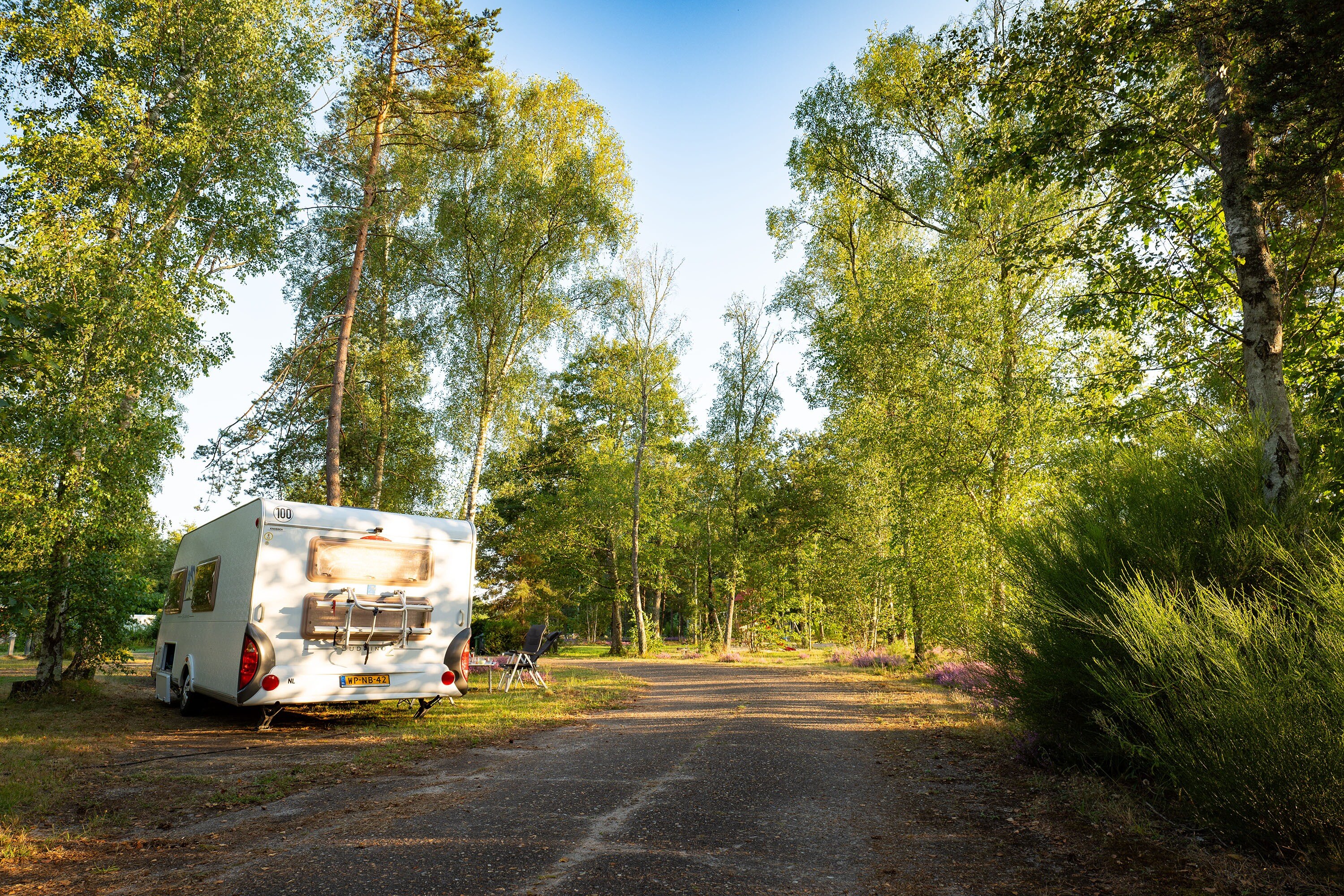 Camping Les Pins Onlycamp