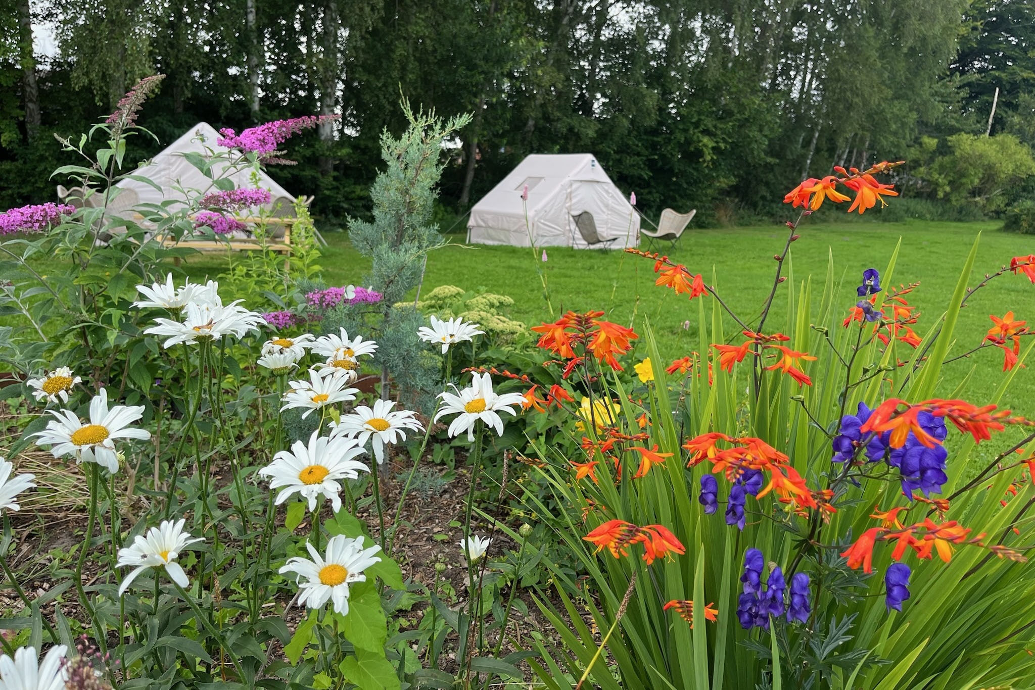 Hestehaven Camping