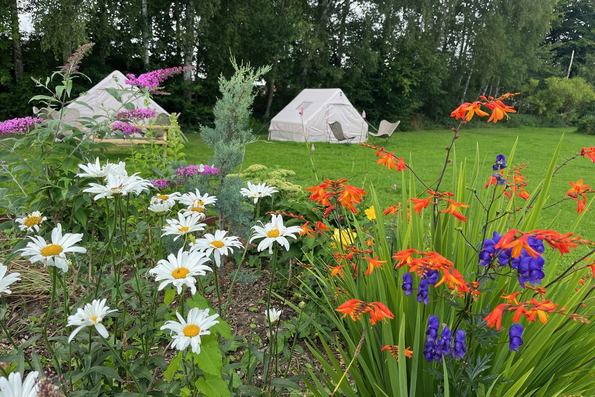 Hestehaven Camping