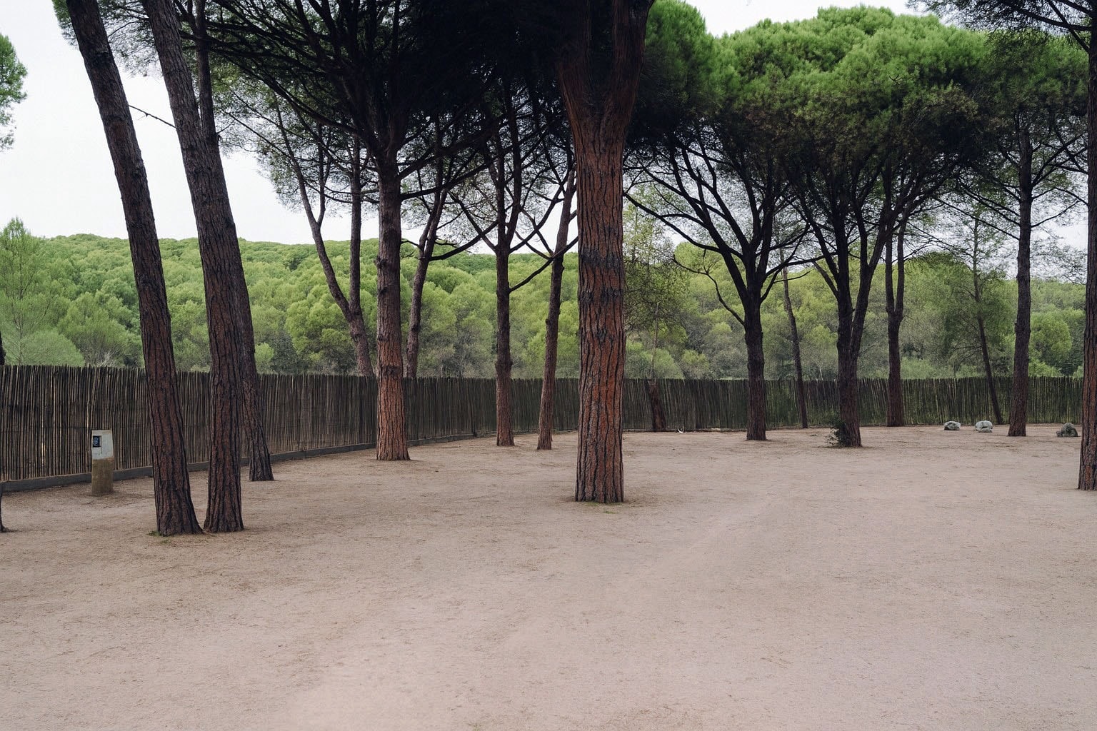 wecamp l'Escala Punta Milá