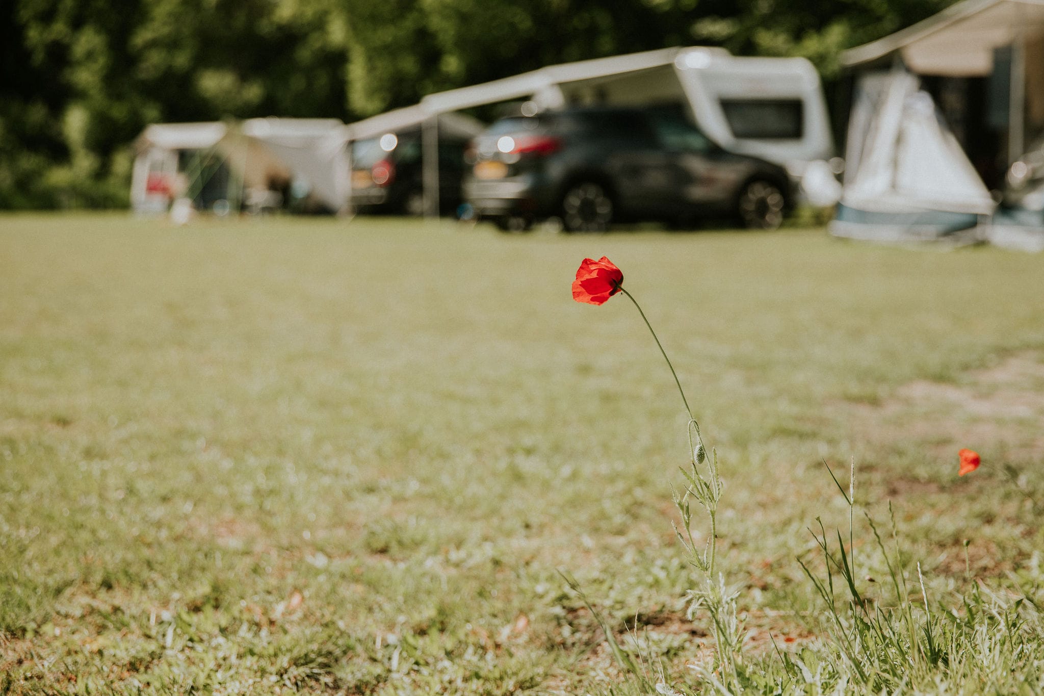 Camping Si Es An afbeelding 2