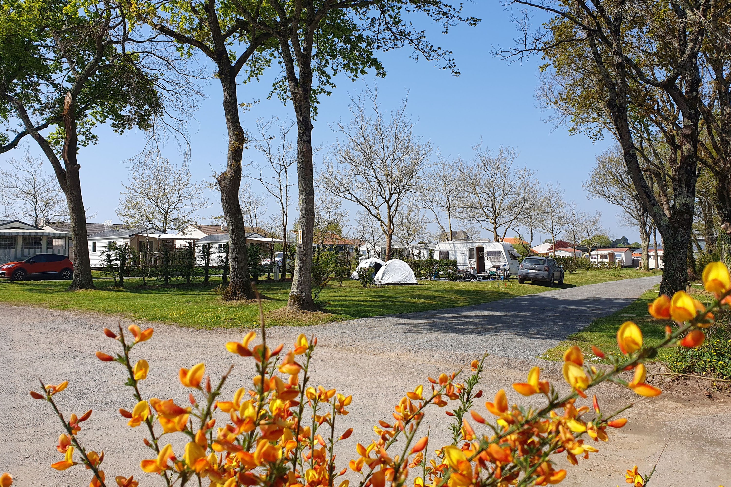 Le Grand Fay afbeelding 2