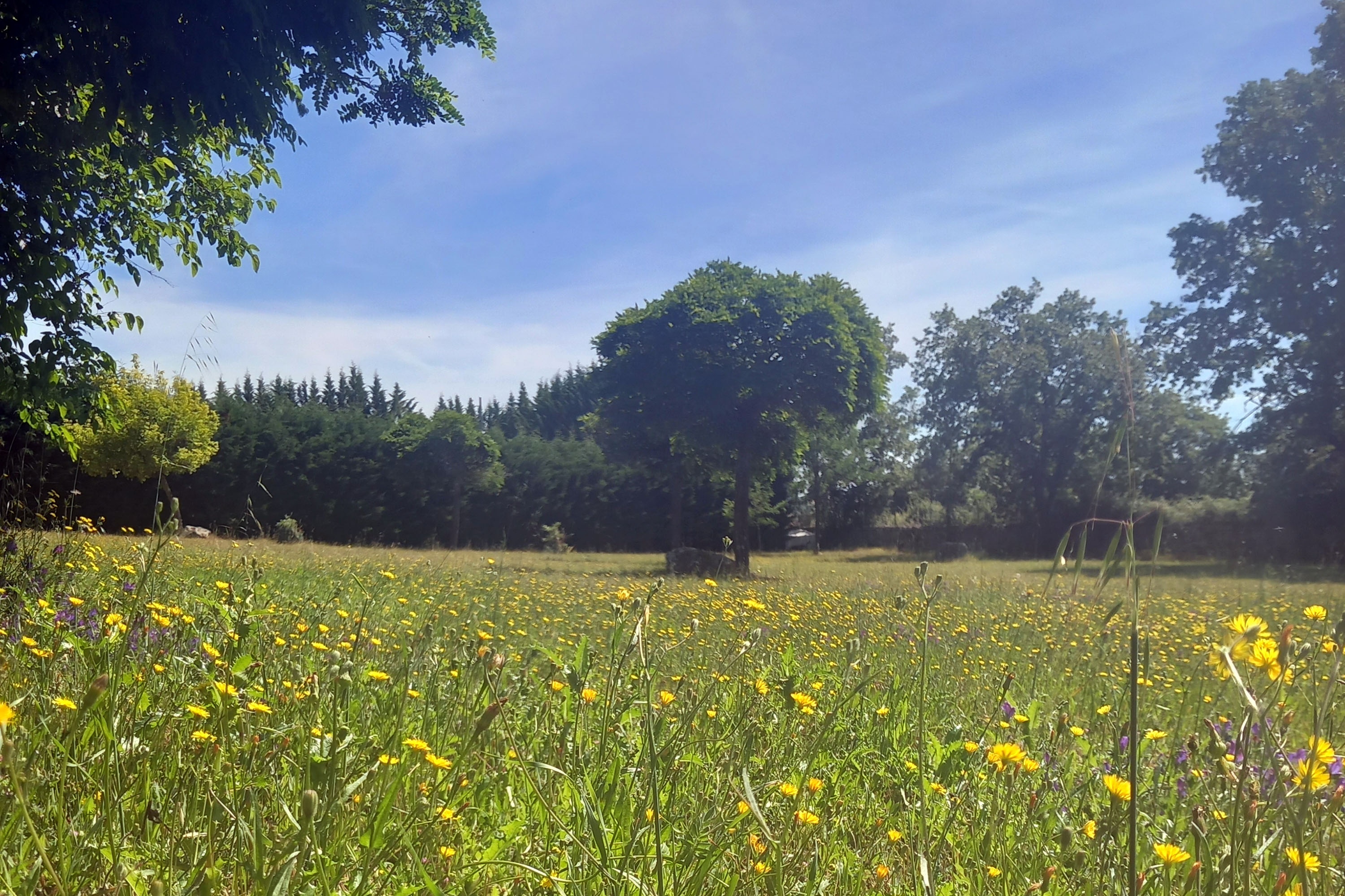 Camping Arribes del Duero