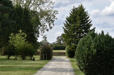 Naturresort Weserinsel