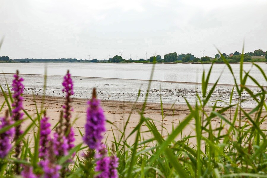 Stover Strand Camping