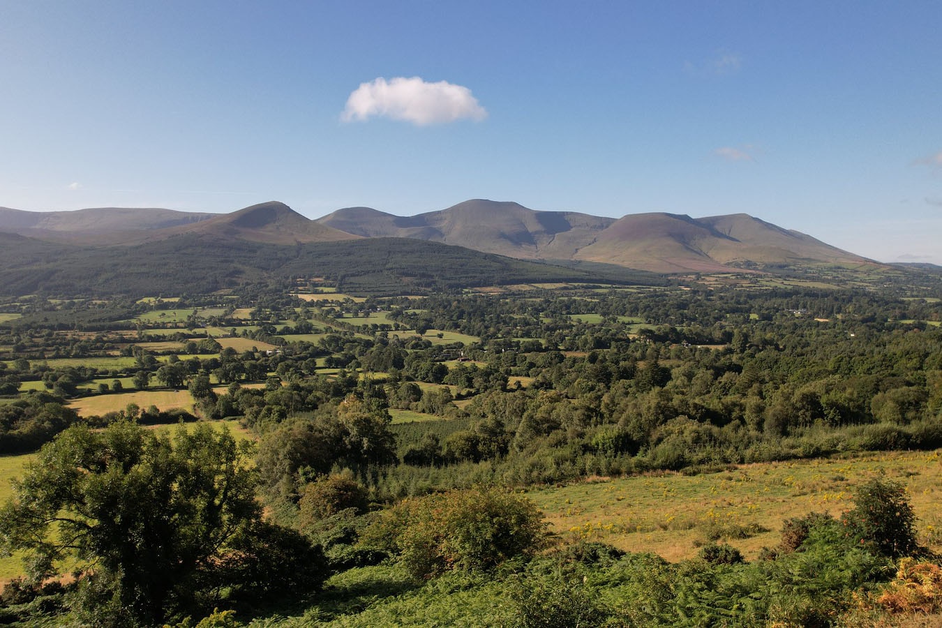 Ballinacourty House Caravan and Camping Park