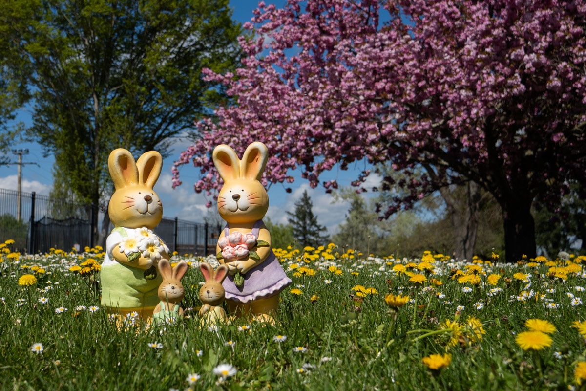 Camping Domaine les Gandins