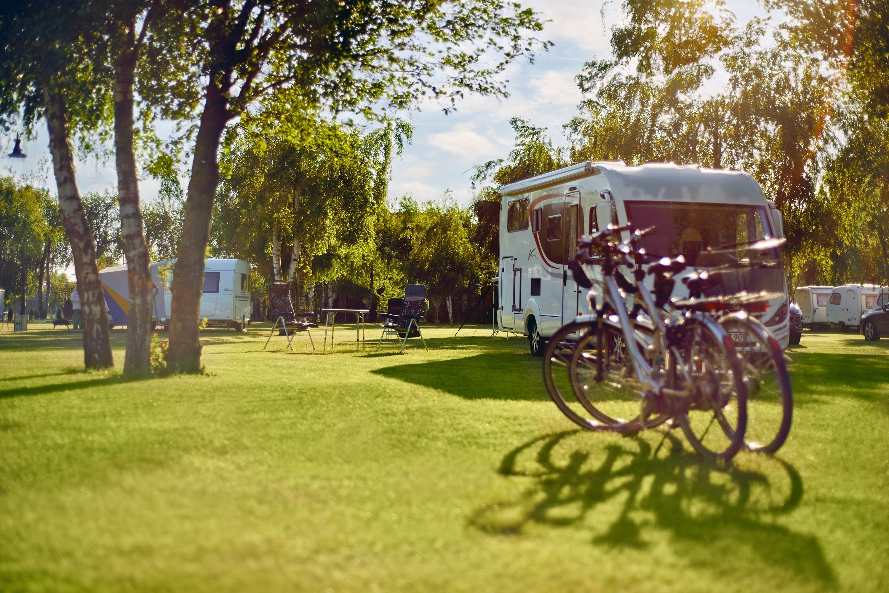 Camping Lesny Nr. 51