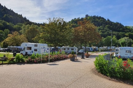 Moselcampingplatz Alf
