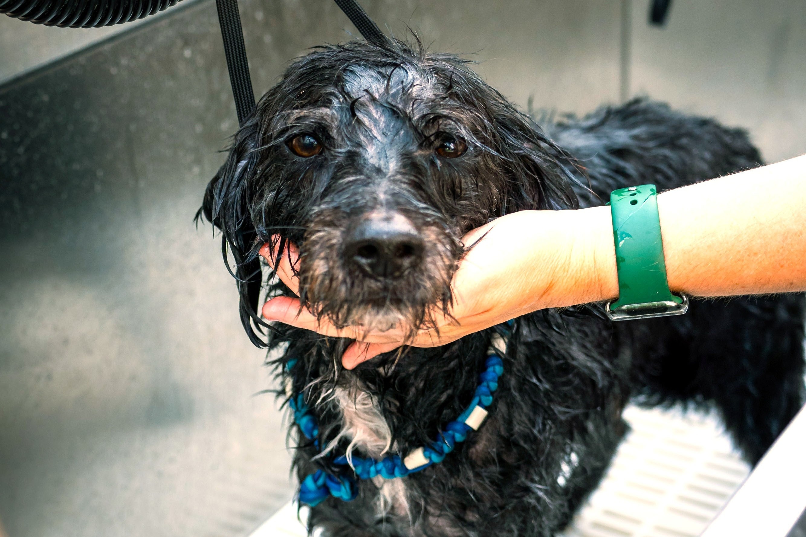 Moselcampingplatz Alf