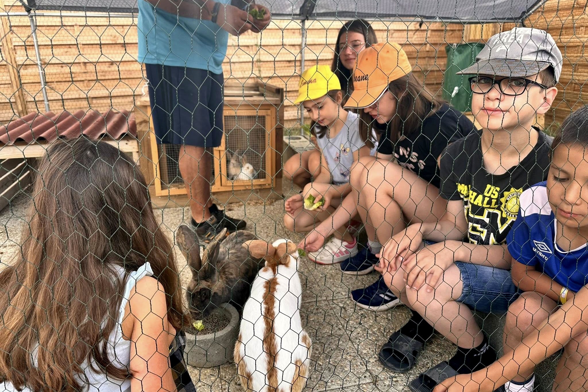 Camping Paradis Domaine de Bellevue