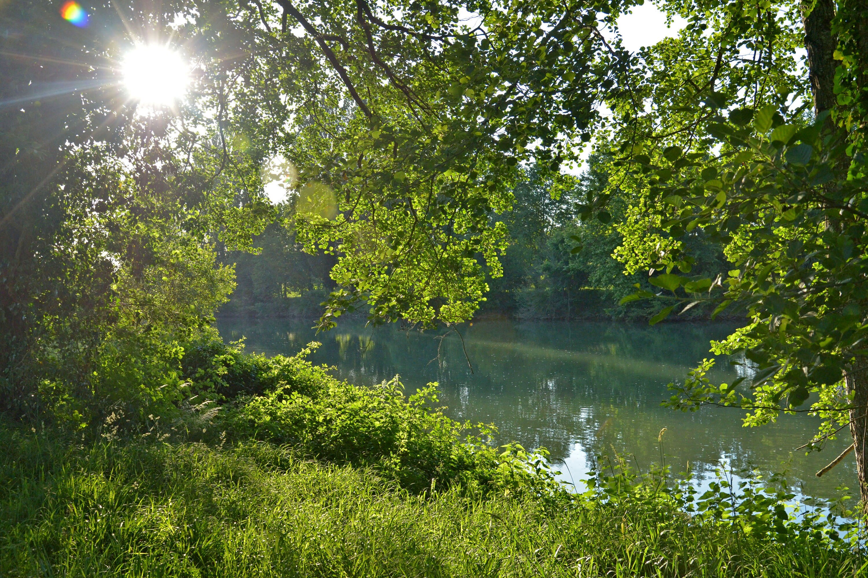 Les Rives de l'Adour