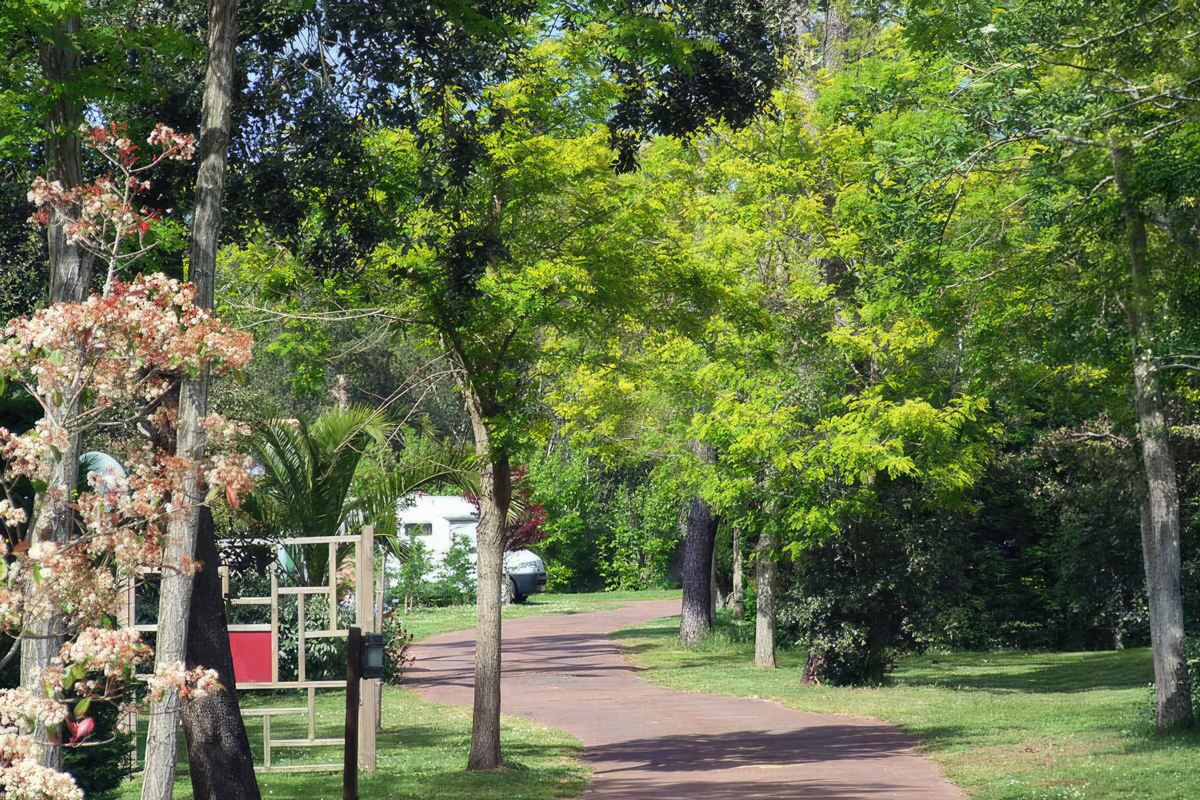Camping Le Sous Bois