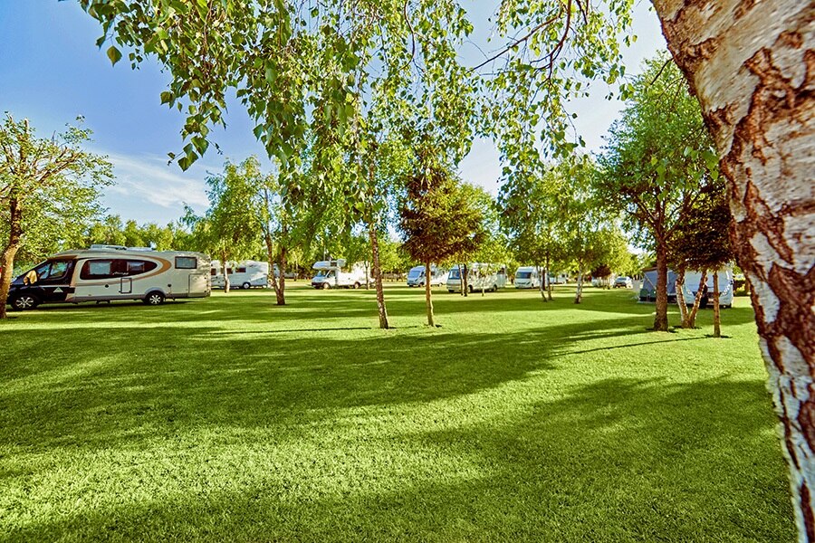 Camping Lesny Nr. 51