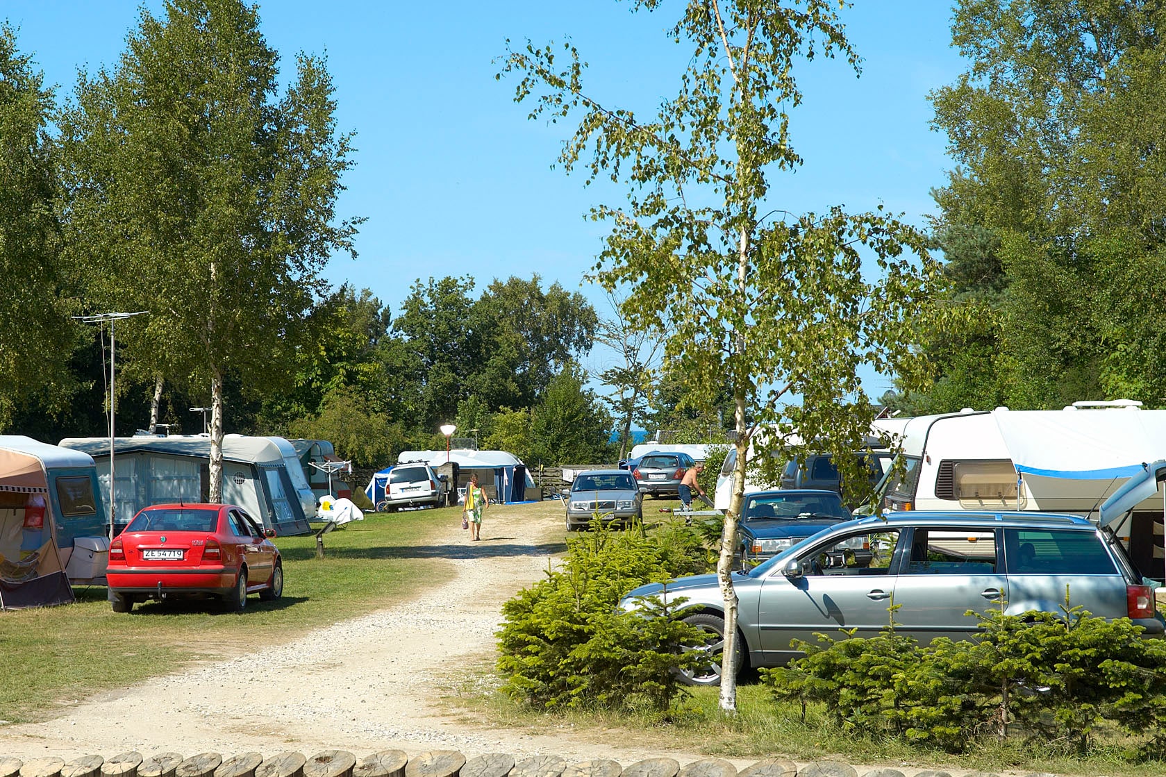 Dalgård Camping