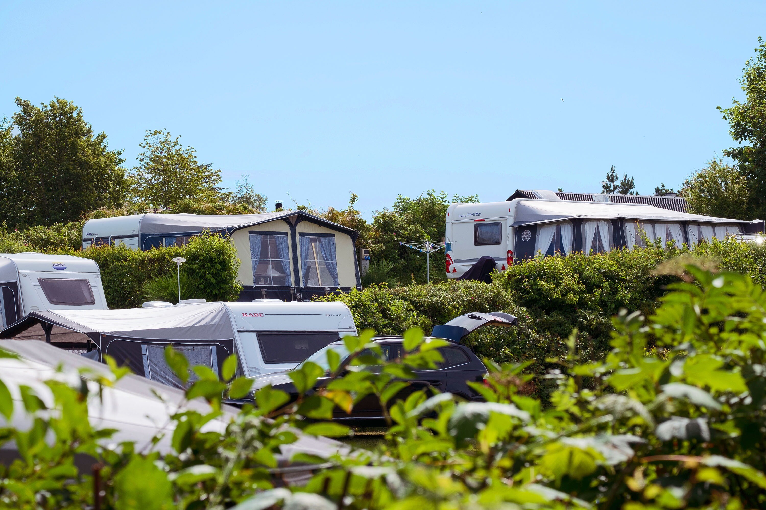 Dalgård Camping