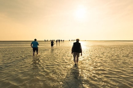 Siblu Camping Lauwersoog