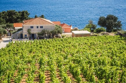 Wine Resort Adriatic