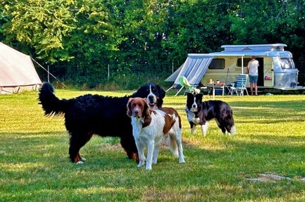 Camping Balzine