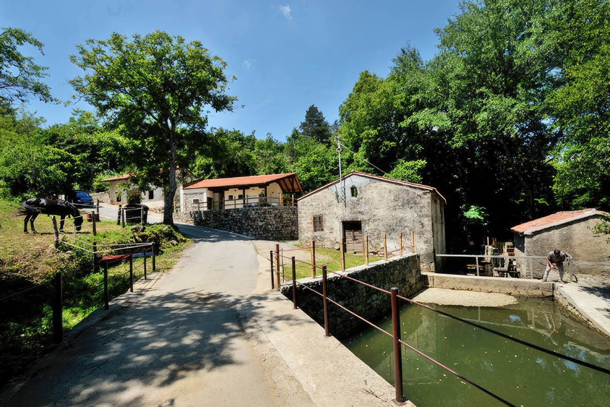 Kamp Dujceva Domacija