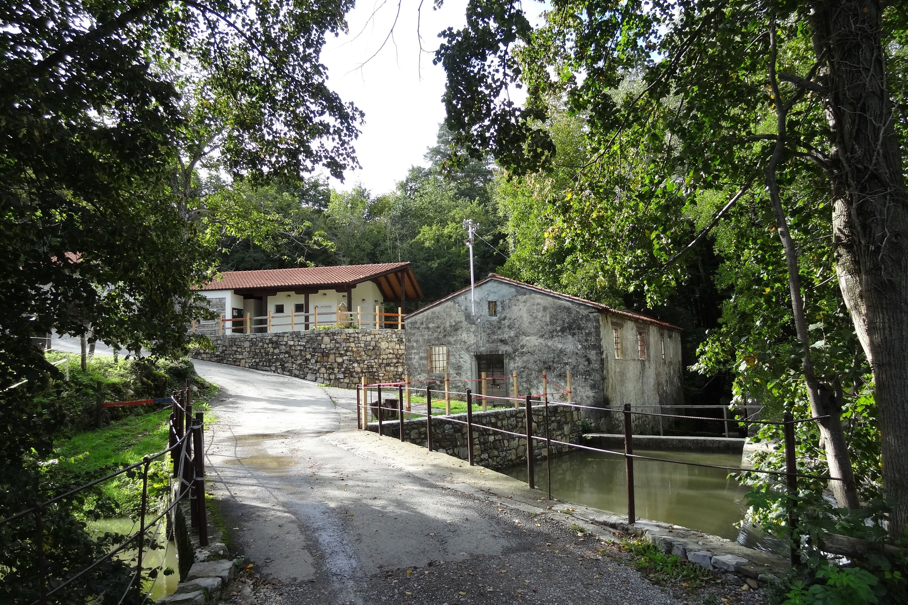 Kamp Dujceva Domacija