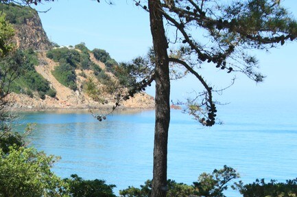 Camping Fautea