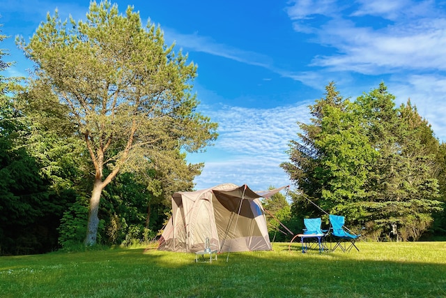 Tolne Camping