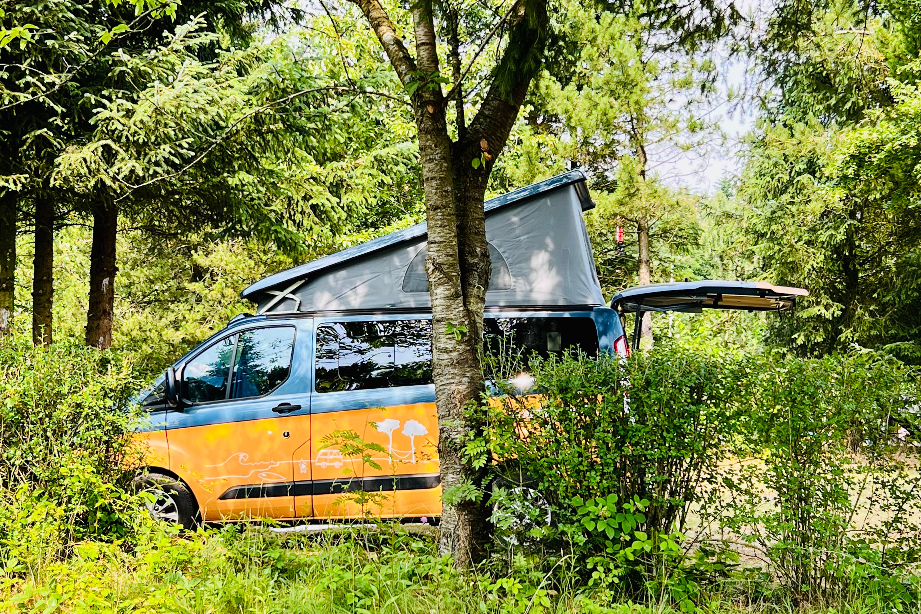 Tolne Camping