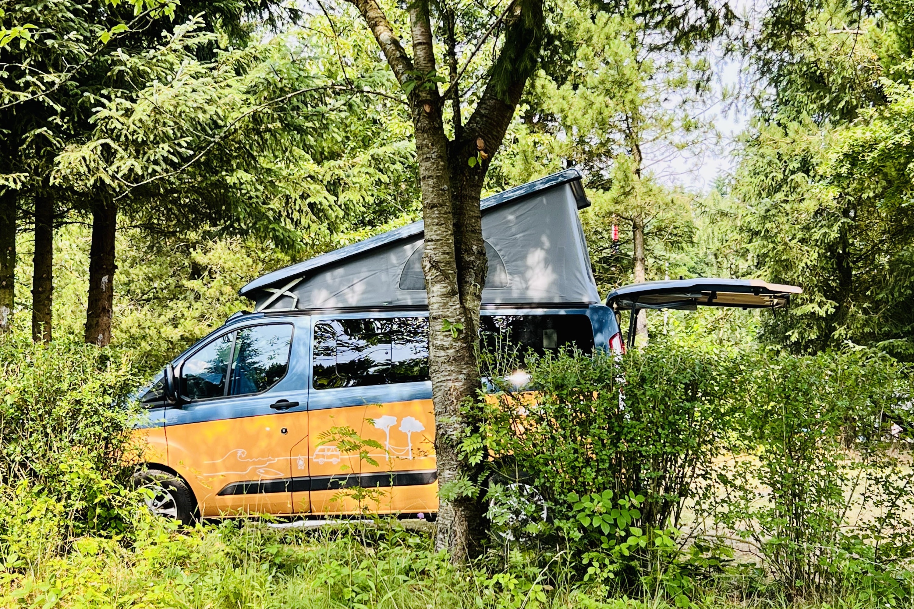 Tolne Camping