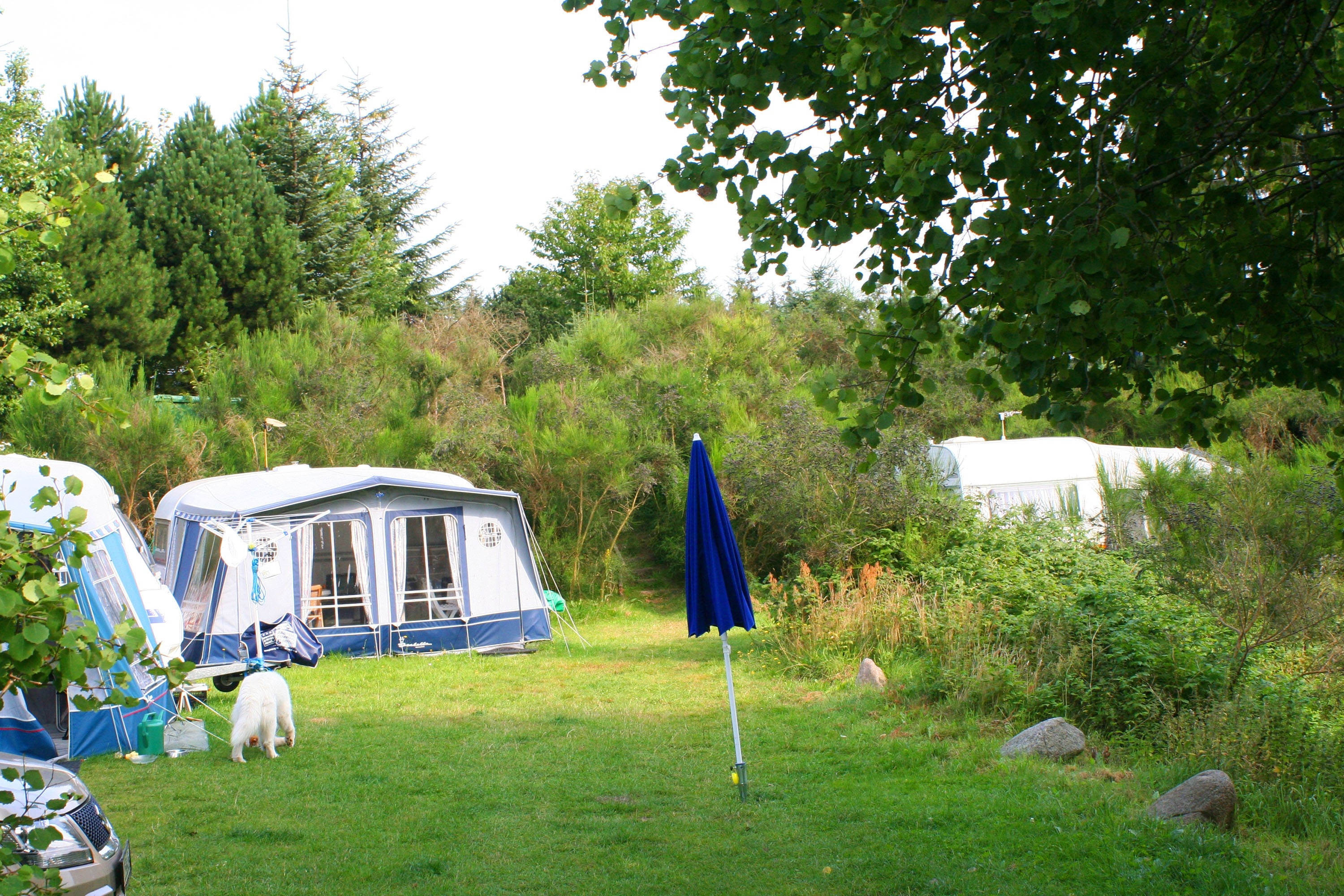 Tolne Camping