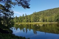 Fossen Camping Fagernes – billede 5